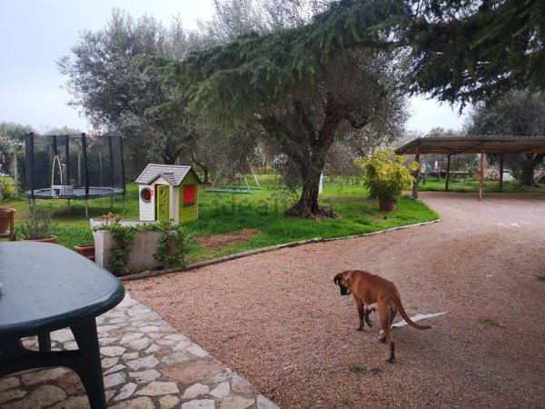 appartamento in affitto a Montalto di Castro in zona Pescia Romana