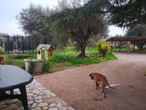 appartamento in affitto a Montalto di Castro in zona Pescia Romana