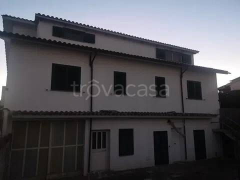 appartamento in affitto a Montalto di Castro in zona Pescia Romana