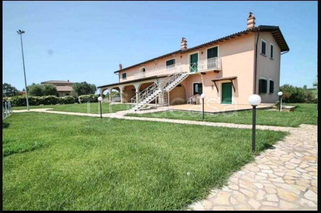 appartamento in affitto a Montalto di Castro