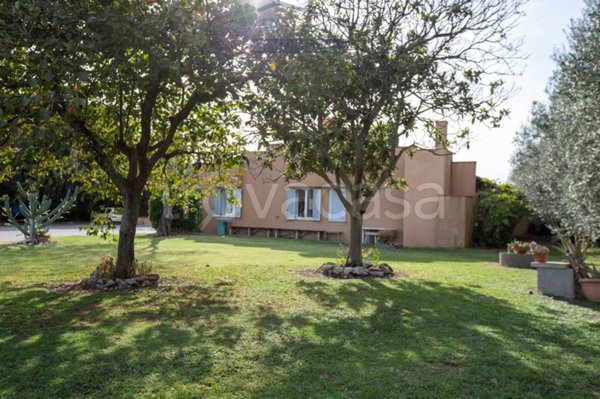 appartamento in affitto a Montalto di Castro