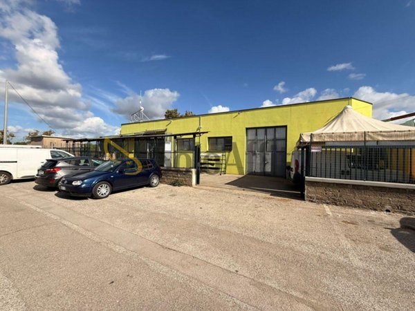 appartamento in affitto a Montalto di Castro