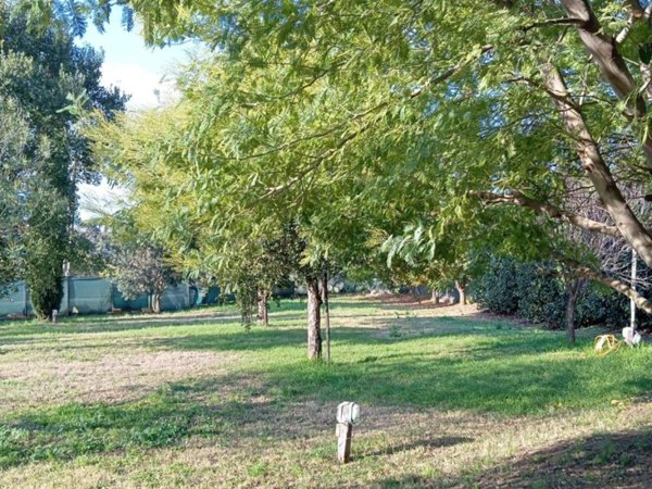 casa indipendente in affitto a Montalto di Castro in zona Pescia Romana