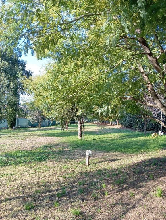 casa indipendente in affitto a Montalto di Castro in zona Pescia Romana