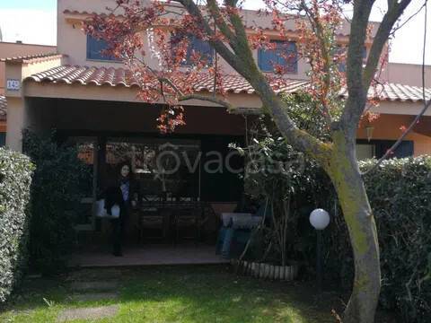 casa indipendente in affitto a Montalto di Castro