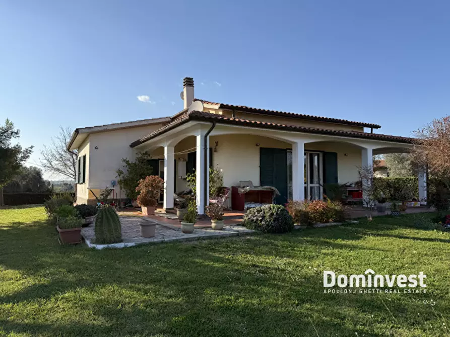 casa indipendente in affitto a Montalto di Castro