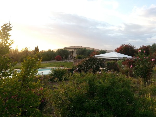 appartamento in affitto a Montalto di Castro