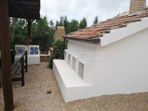 appartamento in affitto a Montalto di Castro