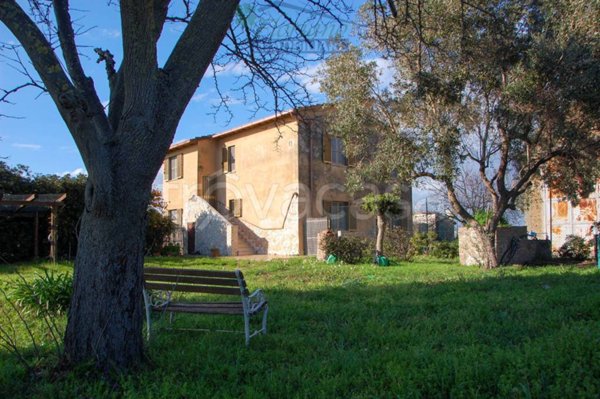 appartamento in affitto a Montalto di Castro in zona Pescia Romana