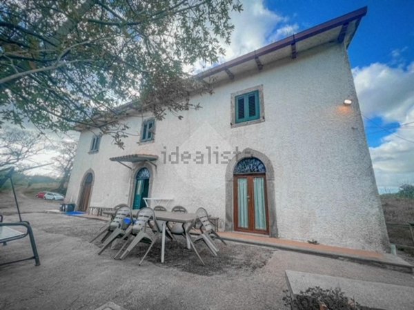 pentavano in affitto a Montefiascone