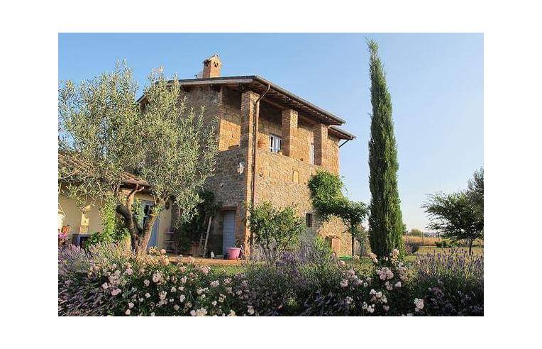 casa indipendente in affitto a Montefiascone