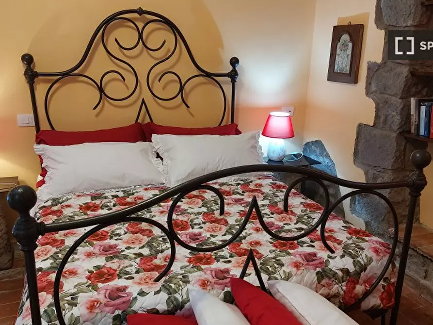 appartamento in affitto a Montefiascone