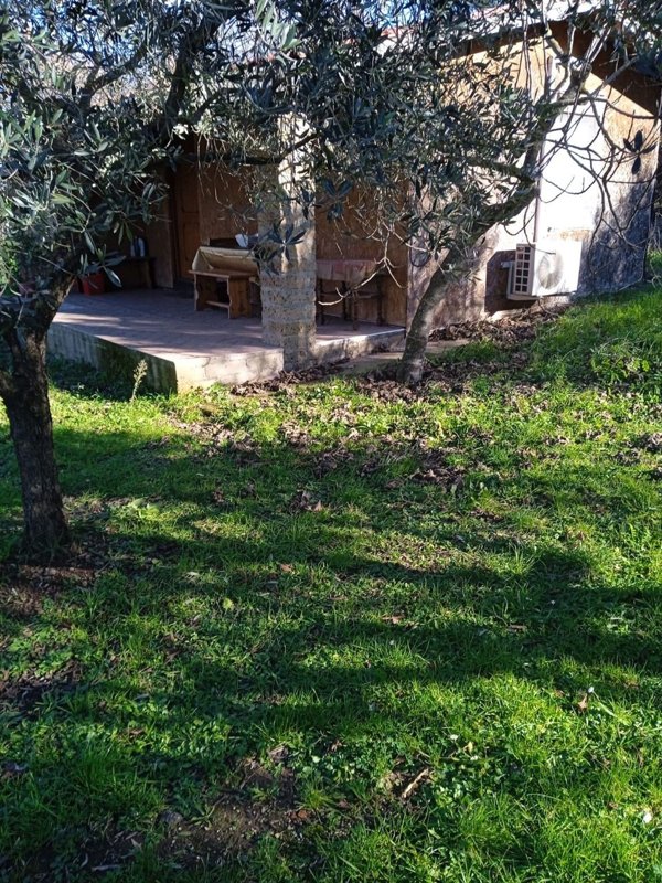 appartamento in affitto a Monterosi