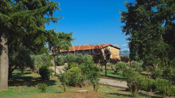 casa indipendente in affitto a Nepi