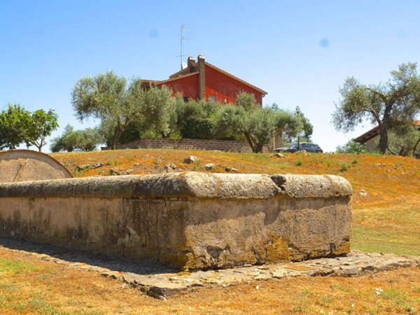 appartamento in affitto a Nepi