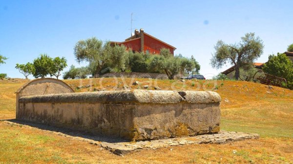 appartamento in affitto a Nepi