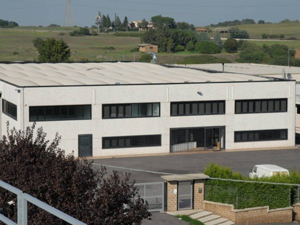 locale commerciale in affitto a Nepi