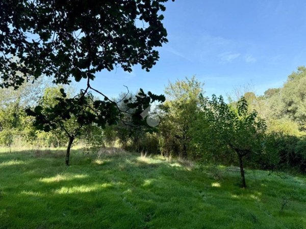 appartamento in affitto ad Orte