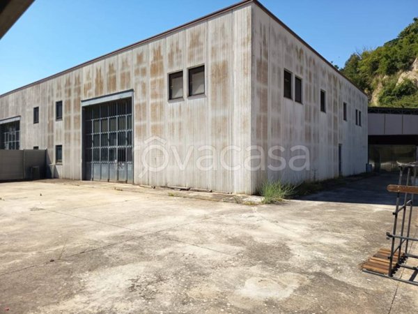 locale commerciale in affitto a Piansano