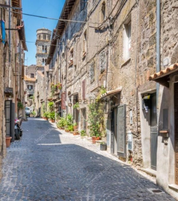 casa indipendente in affitto a Ronciglione