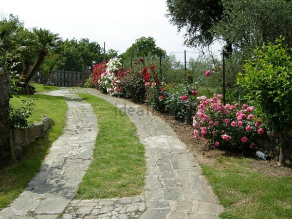 casa indipendente in affitto a Soriano nel Cimino
