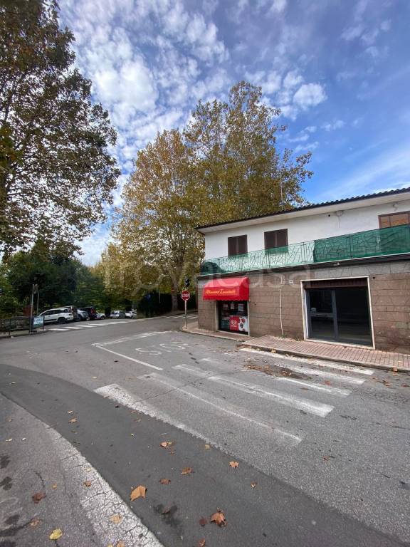 monolocale in affitto a Sutri