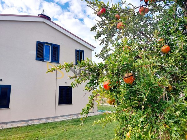 appartamento in affitto a Tarquinia