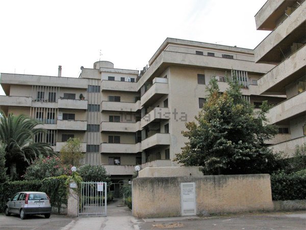 appartamento in affitto a Tarquinia