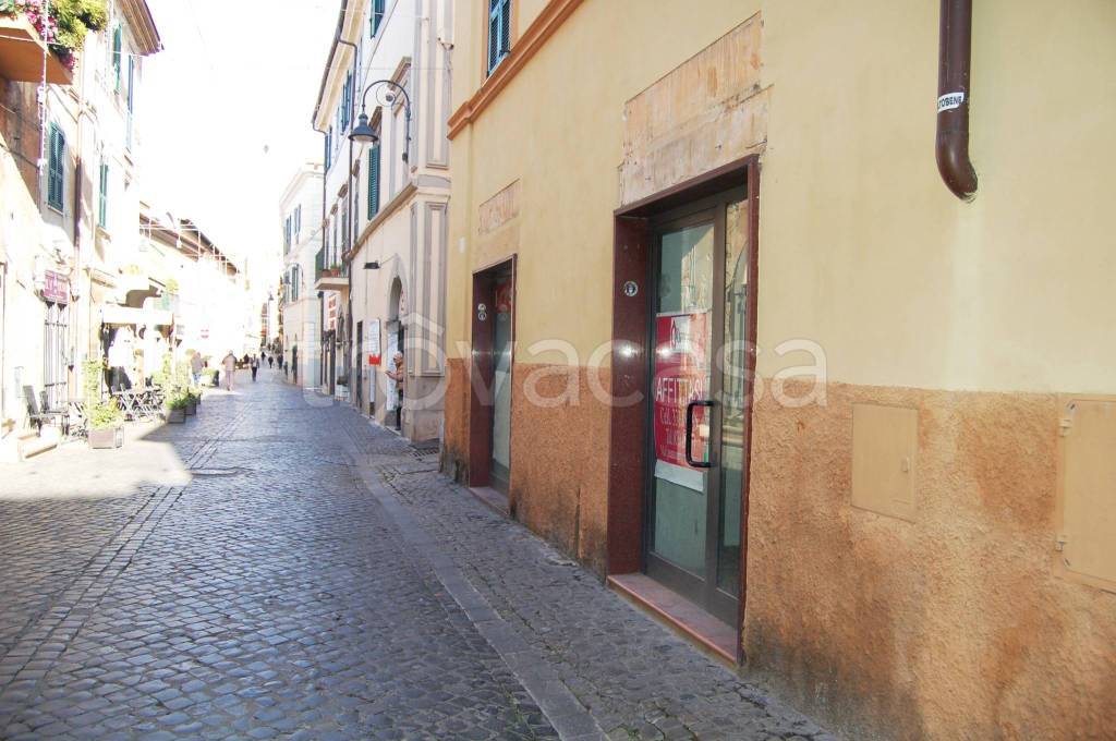 negozio in affitto a Tarquinia