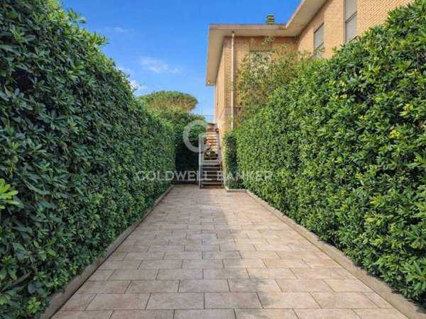 appartamento in affitto a Tarquinia