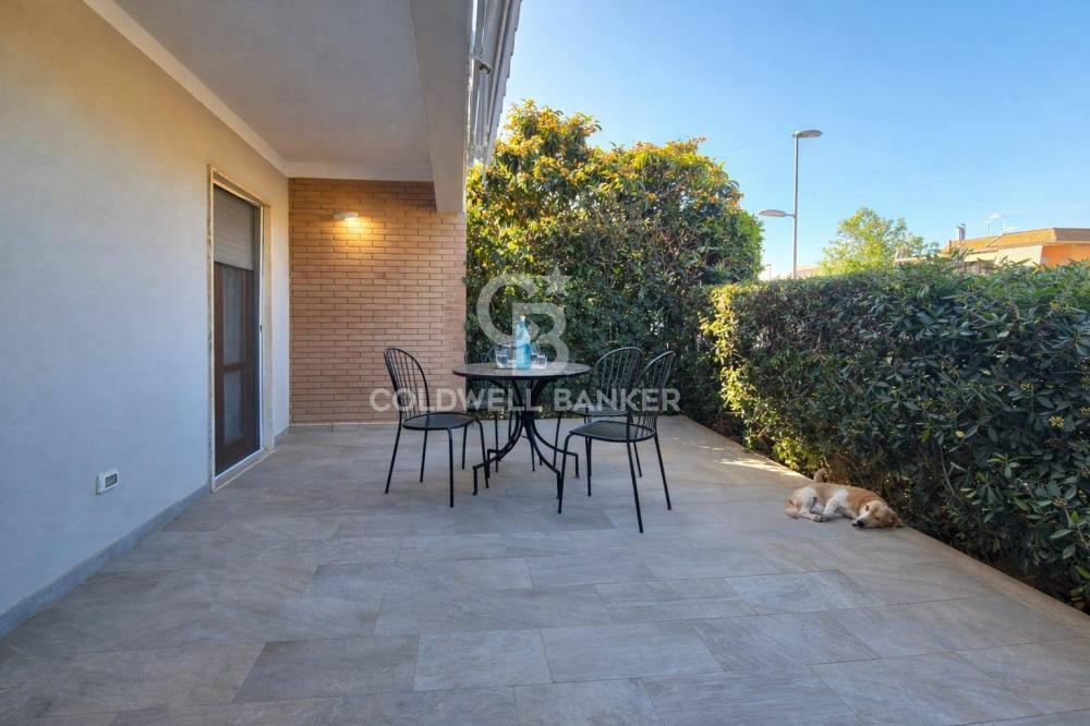 appartamento in affitto a Tarquinia