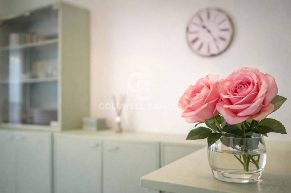 casa indipendente in affitto a Tarquinia