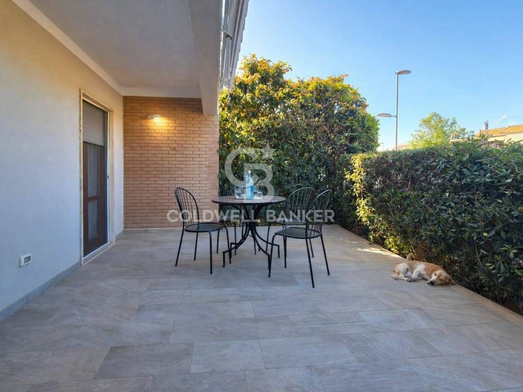 appartamento in affitto a Tarquinia