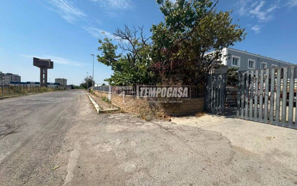 negozio in affitto a Tarquinia