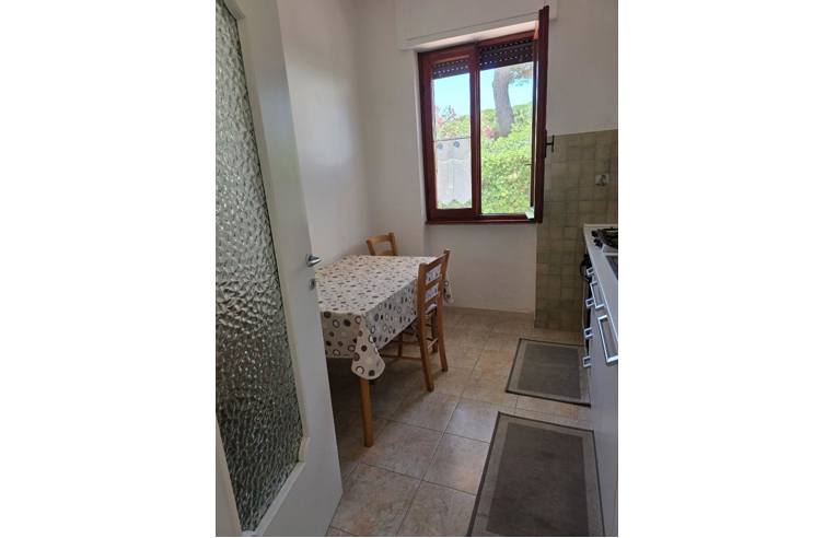 appartamento in affitto a Tarquinia