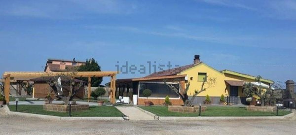negozio in affitto a Tuscania
