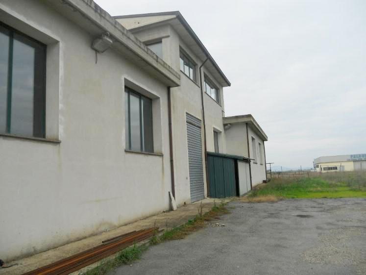 capannone in affitto a Tuscania