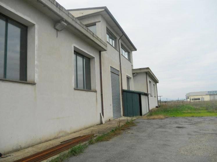 locale commerciale in affitto a Tuscania