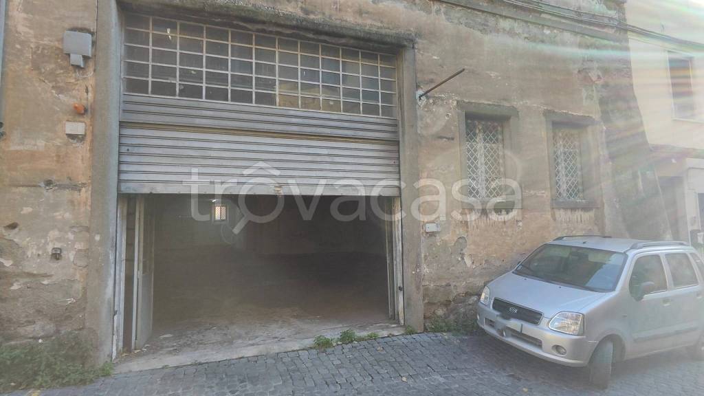 negozio in affitto a Viterbo