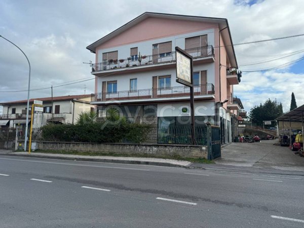negozio in affitto a Viterbo
