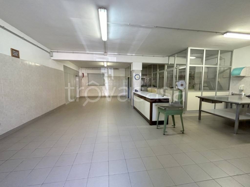 locale commerciale in affitto a Viterbo