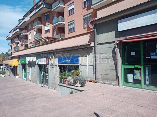 appartamento in affitto a Viterbo