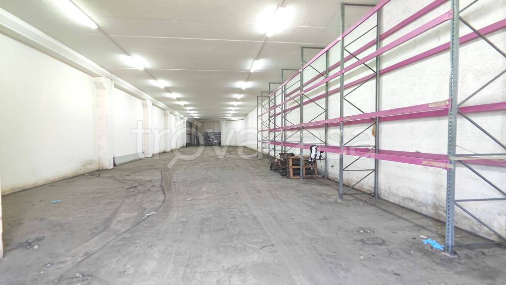 appartamento in affitto a Viterbo