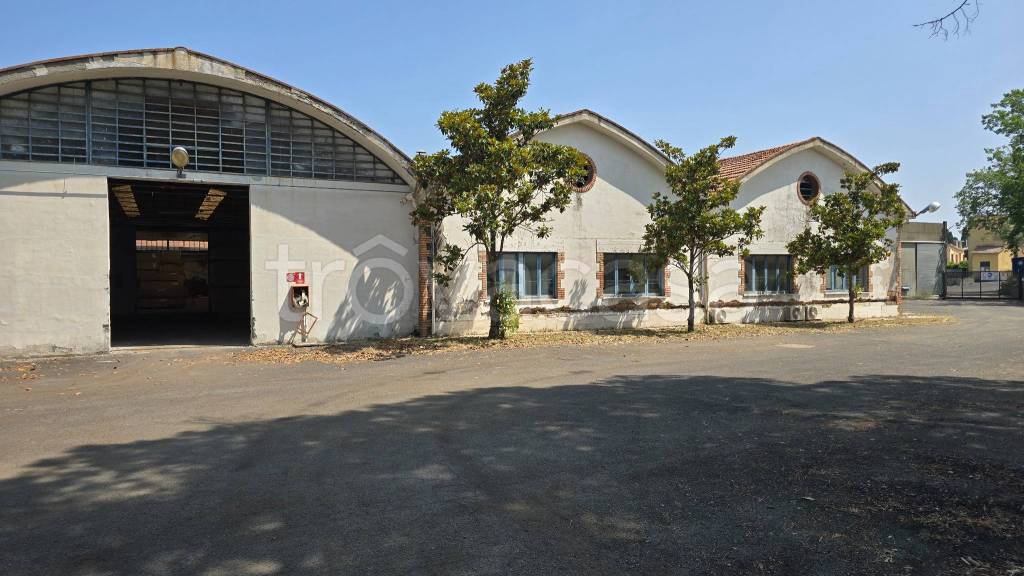 capannone in affitto a Viterbo in zona Monterazzano
