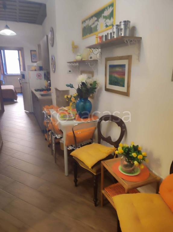 appartamento in affitto a Viterbo