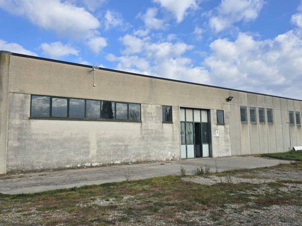 locale commerciale in affitto a Viterbo in zona Grotte Santo Stefano