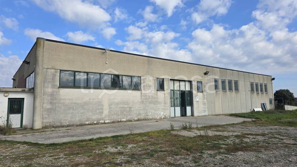 locale commerciale in affitto a Viterbo