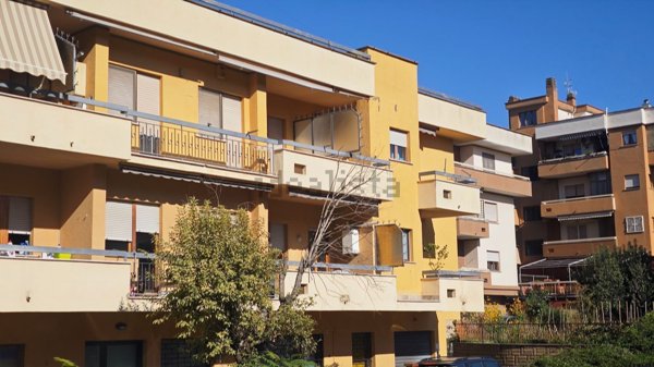 appartamento in affitto a Viterbo