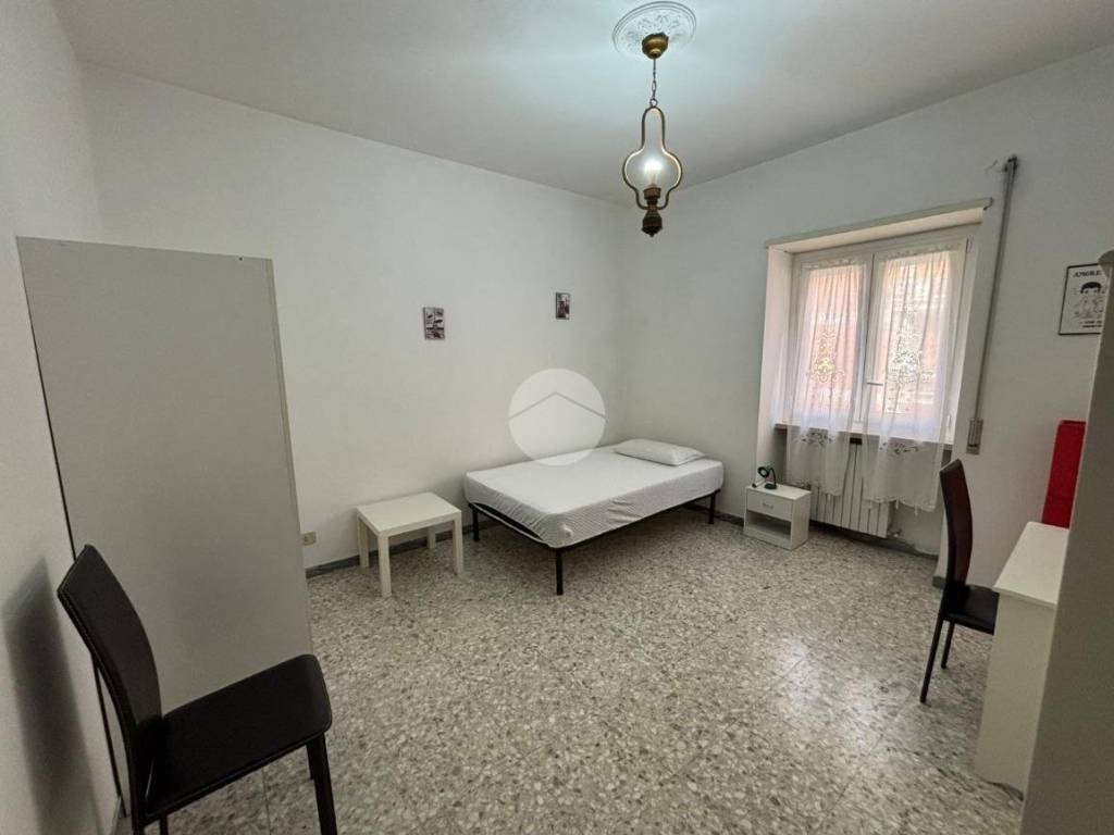 appartamento in affitto a Viterbo