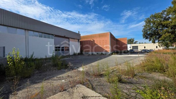 appartamento in affitto a Viterbo in zona Castel d'Asso